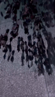 [2025-02-08] b703ee11-fa93-4d0b-a6a5-aeb6b29531e8-lRbsN3Hj.mp4